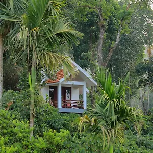 Dhanagiri Wayanad Vythiri